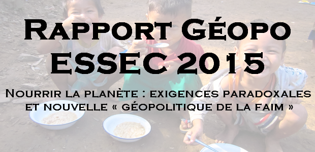 Rapport – Géopolitique ESSEC 2015