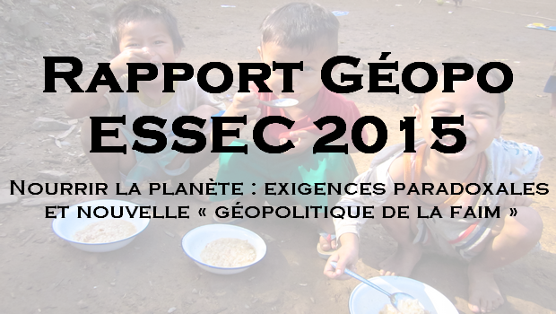 Rapport – Géopolitique ESSEC 2015