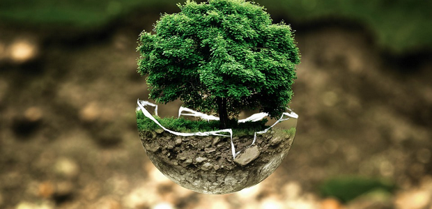 Quiz d’anglais thématique – Environnement