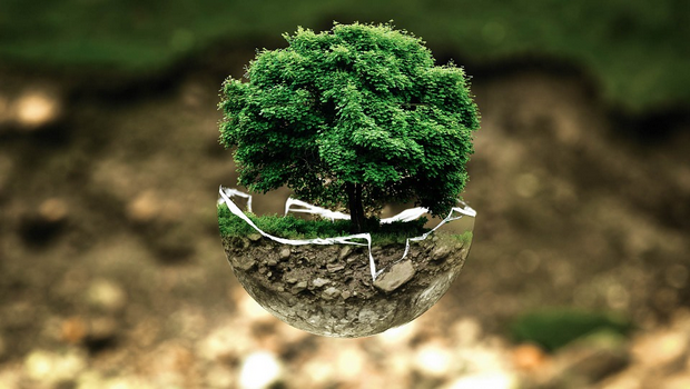 Quiz d’anglais thématique – Environnement