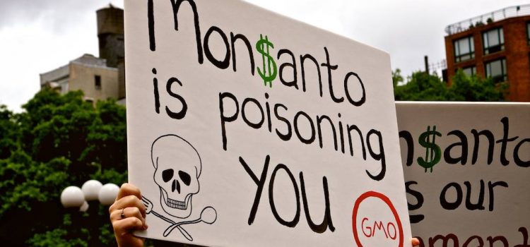 Bayer – Monsanto: un rapprochement qui fait grincer les dents