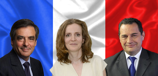 Comparatif des programmes des candidats à la primaire de droite