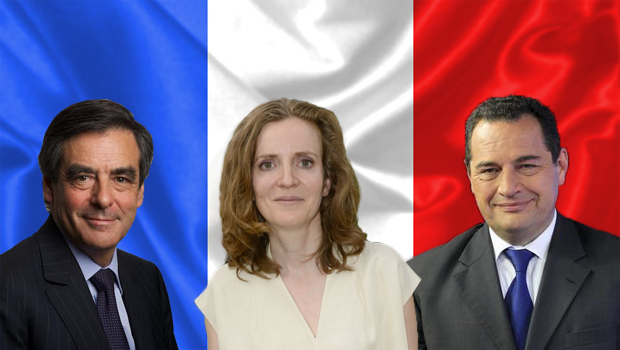 Comparatif des programmes des candidats à la primaire de droite