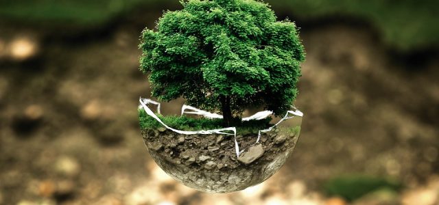 Quiz – Vocabulario del medio ambiente