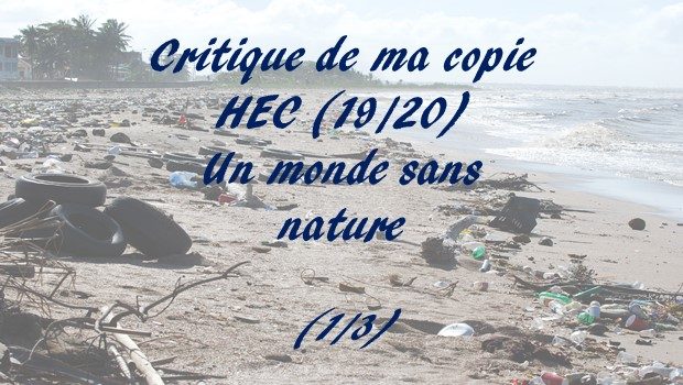 Critique de ma copie HEC notée 19/20 – Un monde sans nature (1)