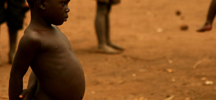 Panorama de la malnutrition dans le monde