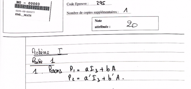 Copie de maths emlyon notée 20/20