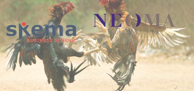NEOMA VS SKEMA : le sondage
