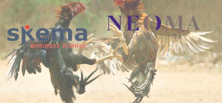 NEOMA VS SKEMA : le sondage