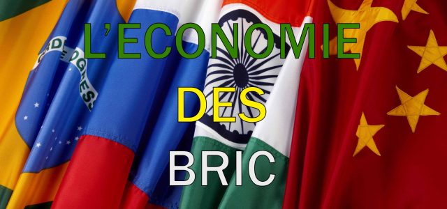 L’économie des BRIC (Andrea Goldstein et Françoise Lemoine) : Fiche de lecture