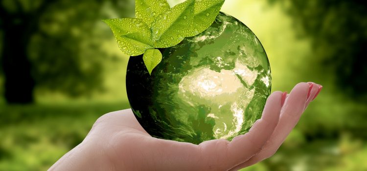 Articles-exemples : L’environnement – Les Yeux du Monde