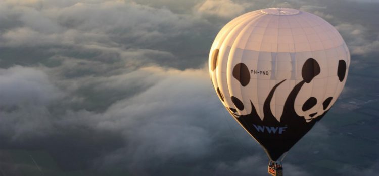 Podcast #18 – Le WWF et les partenariats entreprises – Benjamin de Poncheville