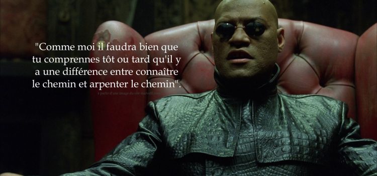 Travailler pour les DS : Attention Danger !