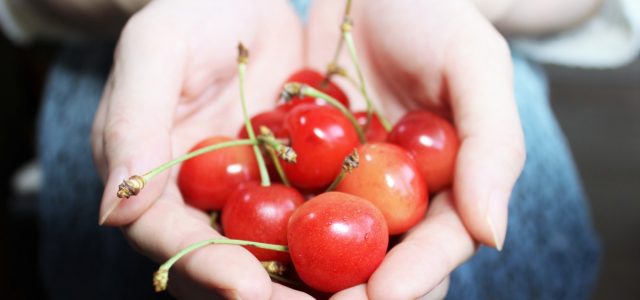 Comment bien se nourrir en prépa ?