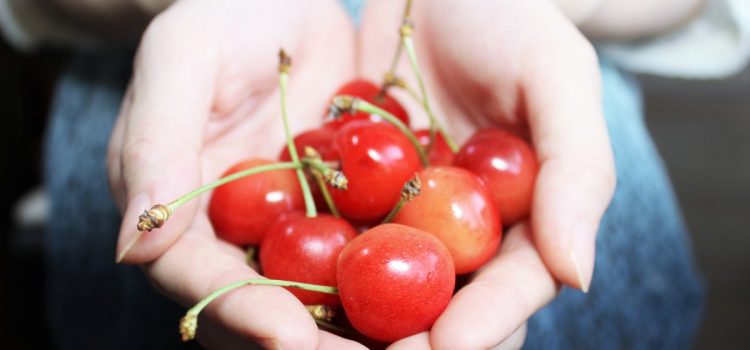 Comment bien se nourrir en prépa ?