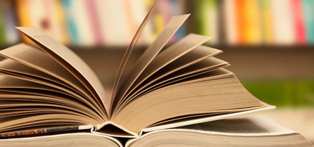 Grammaire espagnole #3 – Les optatives