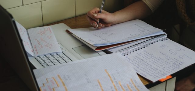 BCE 2019 : qu’en est-il de la géopo GEM ?