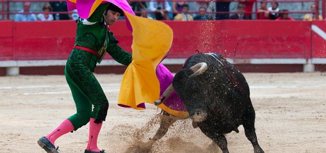 L’essentiel sur la corrida en 10 bullet points