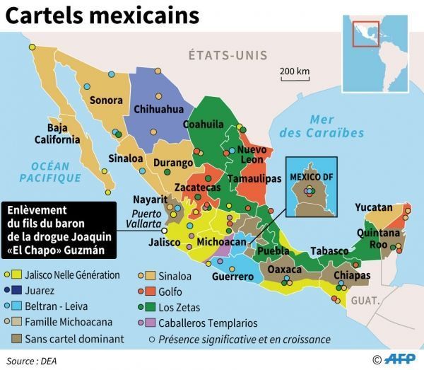 narcotrafic en Amérique latine