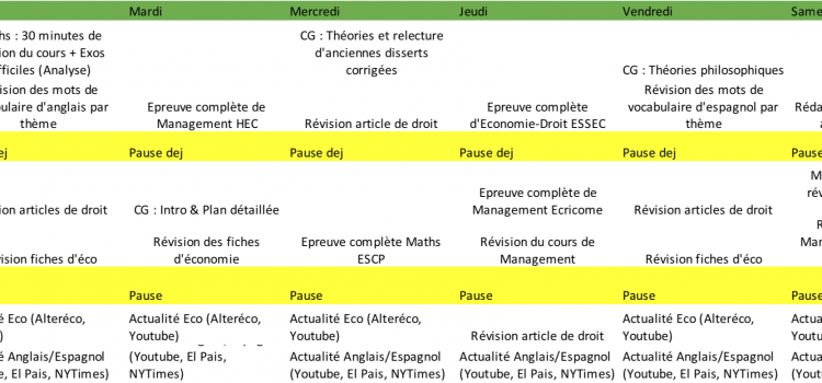 Deux exemples de programmes de travail d’étudiants d’ECT à HEC