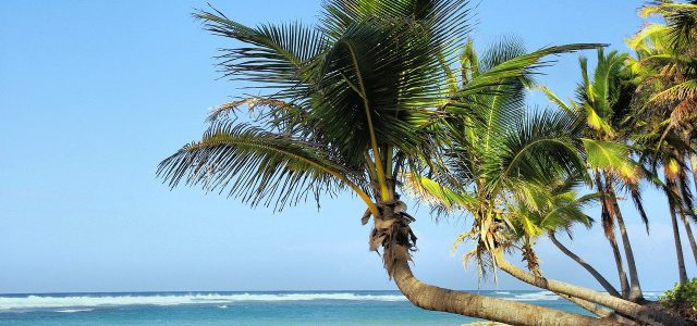 Reportage : faire sa prépa sur l’île de La Réunion