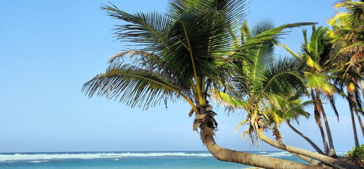 Reportage : faire sa prépa sur l’île de La Réunion