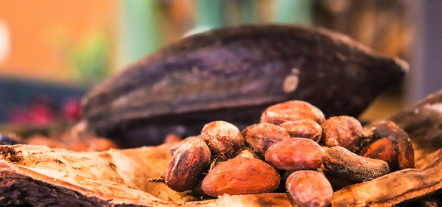 Géopolitique du chocolat et tendances du monde