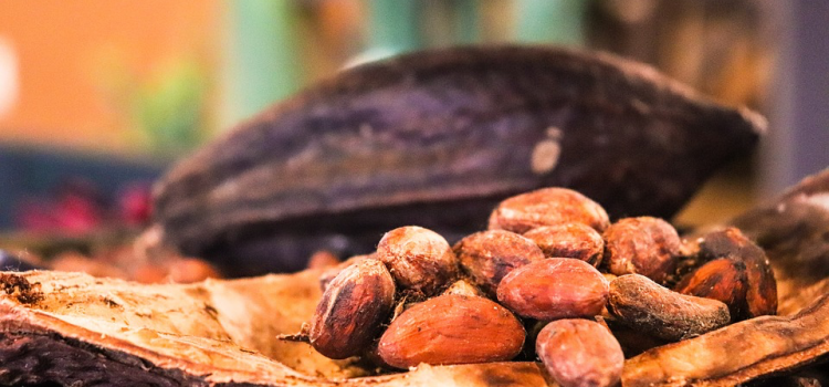 Géopolitique du chocolat et tendances du monde