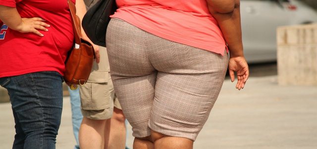L’obésité aux États-Unis : un fléau pris au sérieux