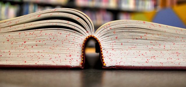 Exos à faire pour arriver fin prêt aux concours en Espagnol – Thème