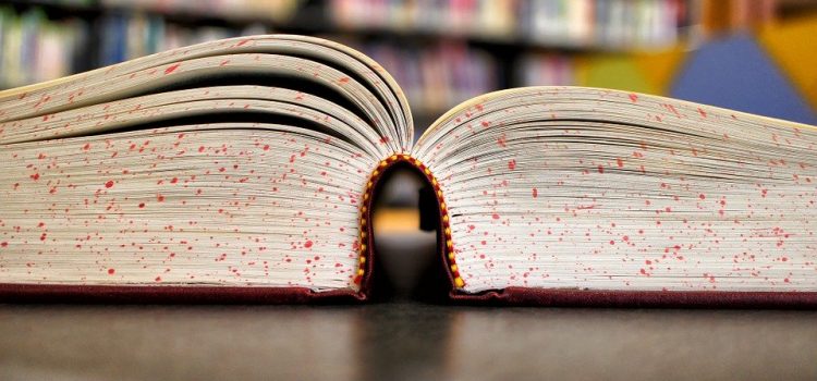 Exos à faire pour arriver fin prêt aux concours en Espagnol – Thème