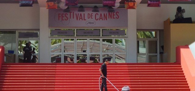 Quiz actualité – 11-17 mai 2020