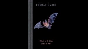 Couverture symbolique de l’essai « What Is It Like to Be a Bat? » de Thomas Nagel, illustrant sa réflexion sur la conscience et l’expérience subjective.