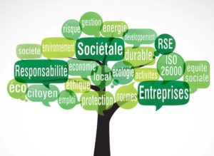 schéma démontrant la dimension de la croissance et du développement