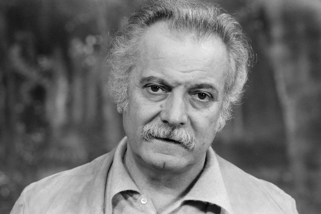 Portrait de Georges Brassens