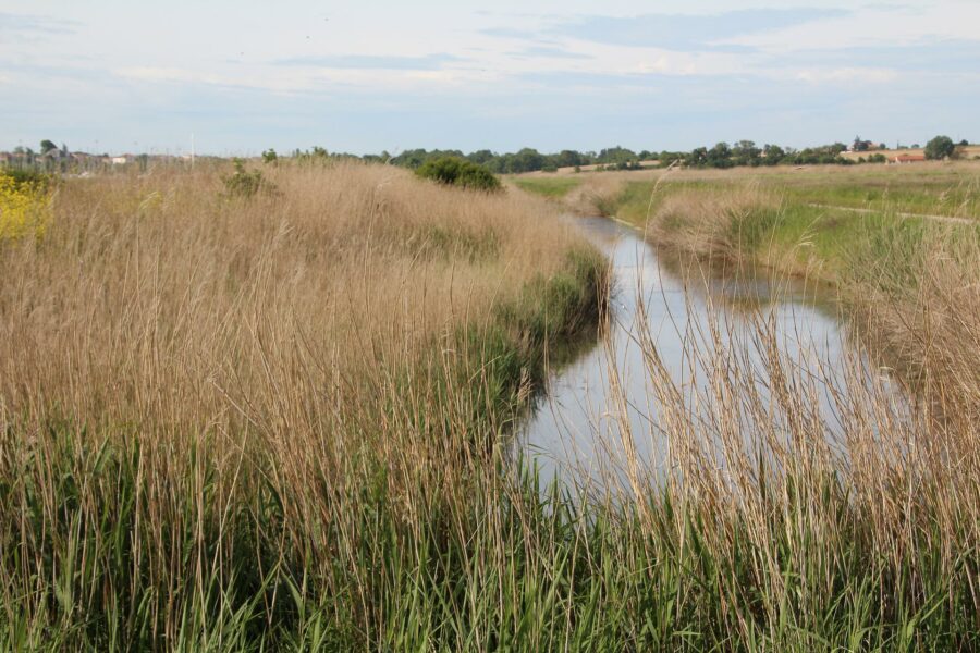 Parc naturel régional du Marais poitevin