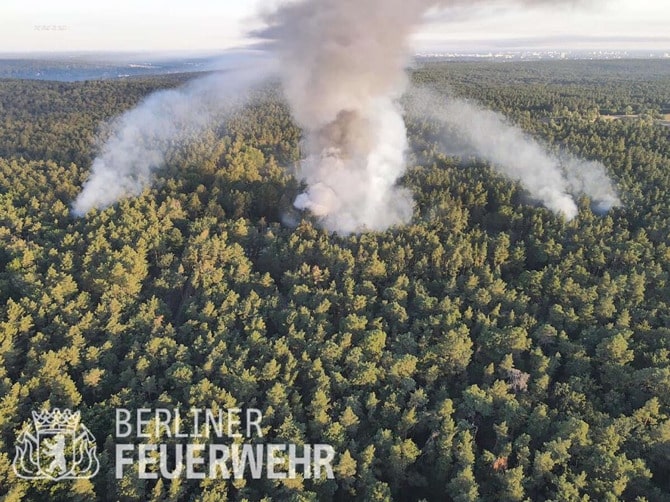 Feux dans la forêt de Grunewald
