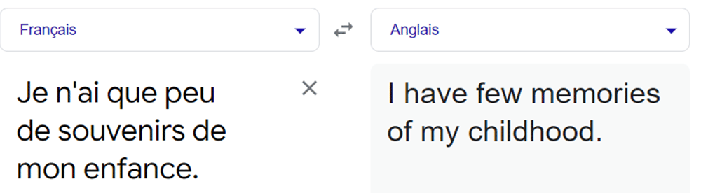 Extrait Google Translate