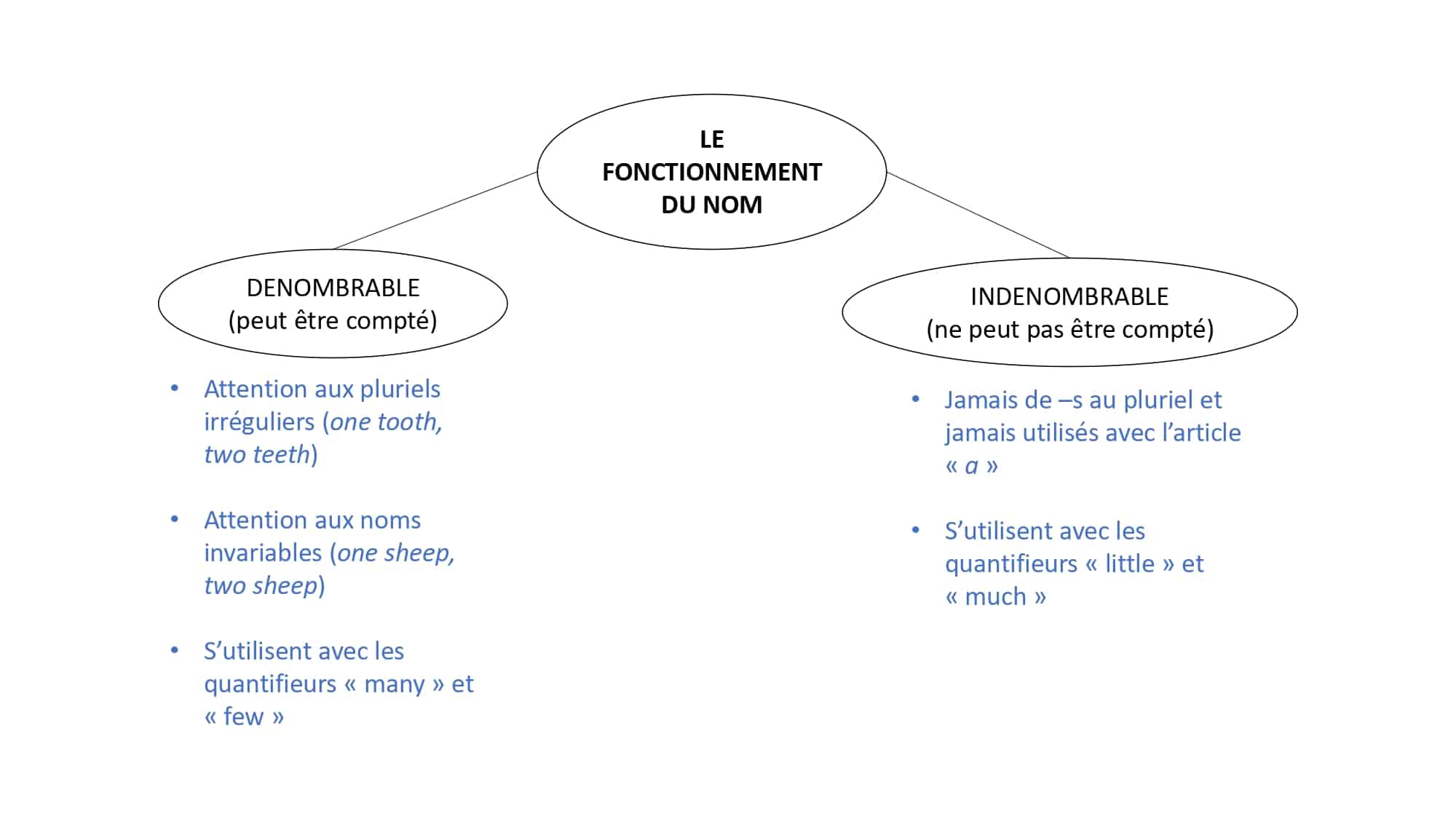 Le fonctionnement du nom