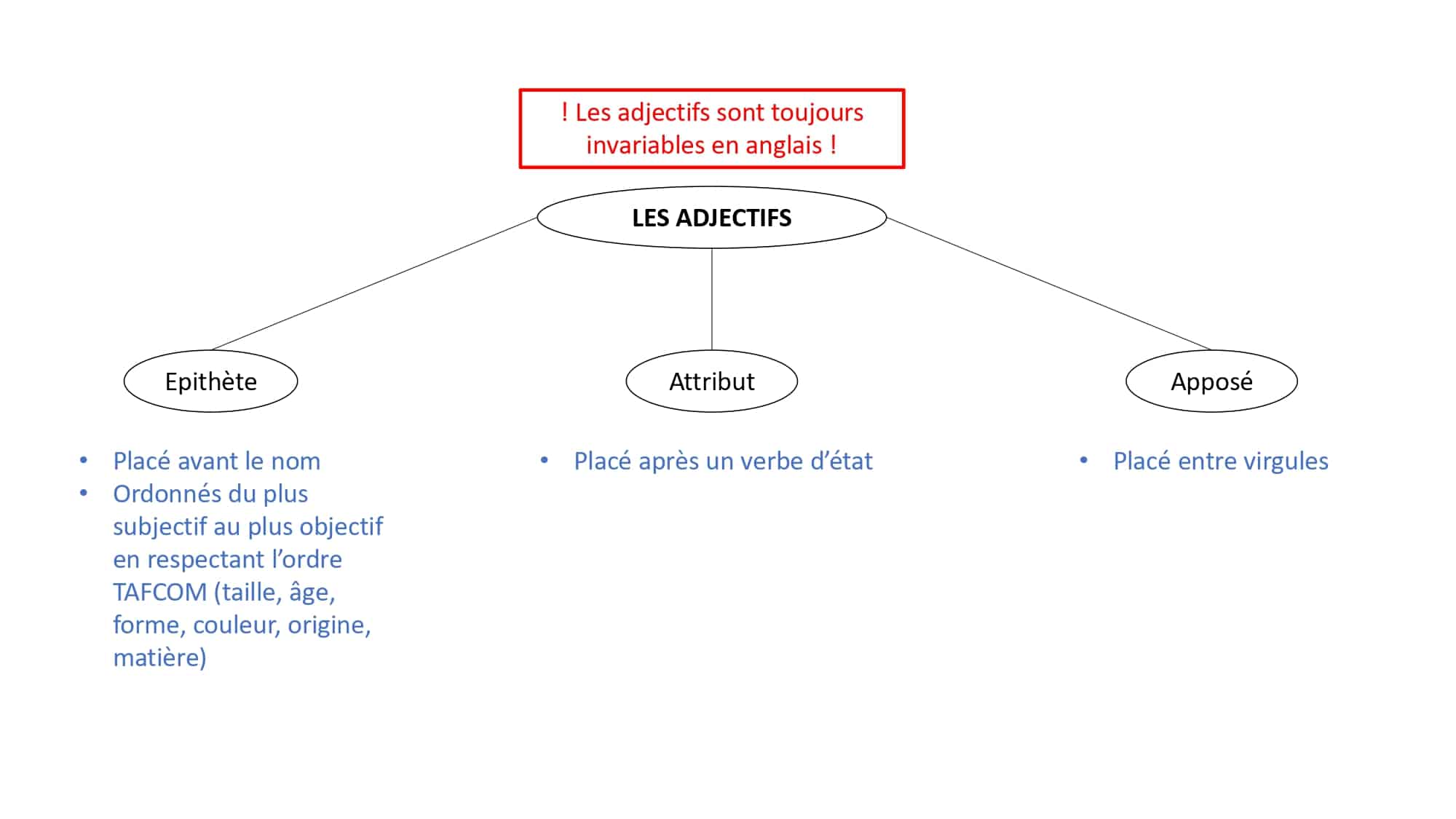 Les adjectifs
