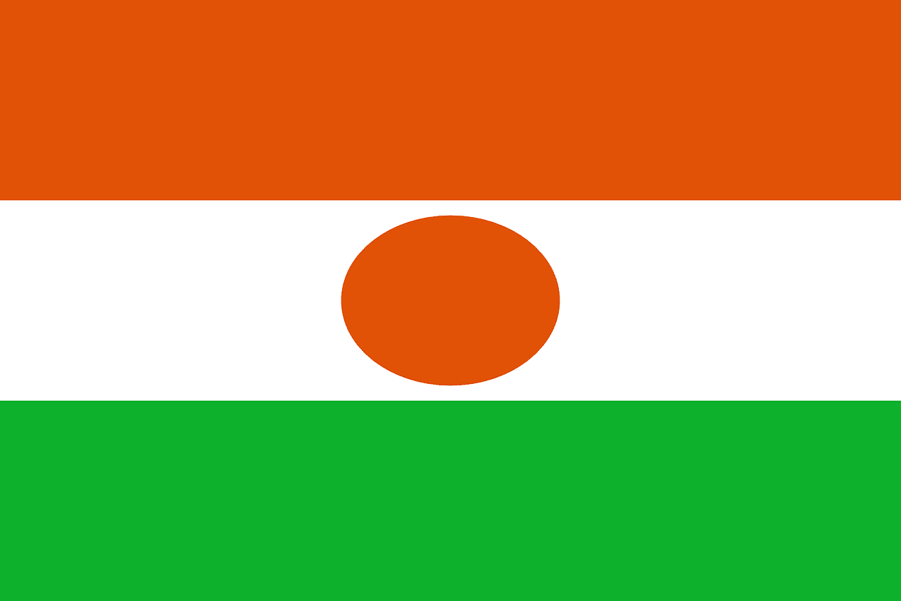 Quelle entreprise française a dû cesser ses activités cette semaine au Niger ? 