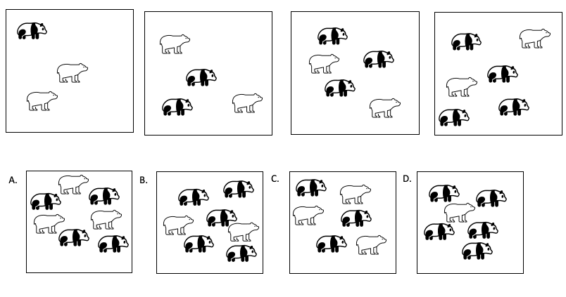 Question 5
