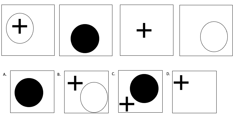 Question 8