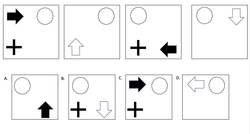 Question 8