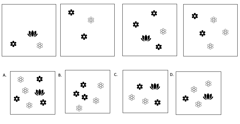 Question 10