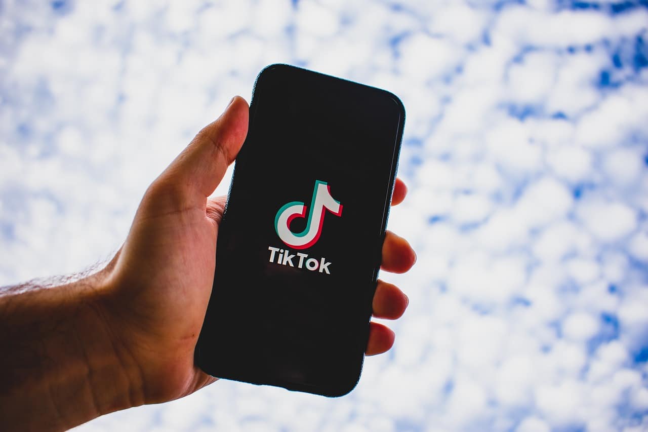 Quel pays ou groupement de pays essaie de bannir TikTok ? 