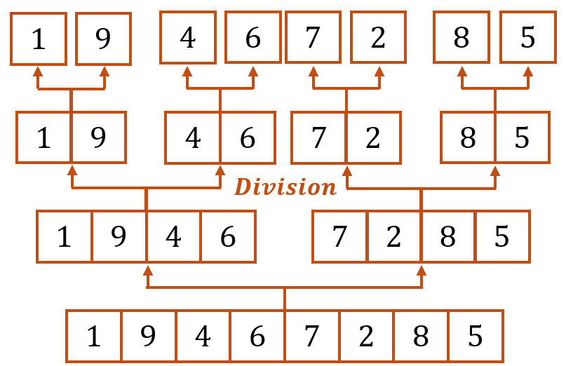 Schéma phase de division