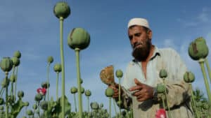 opium