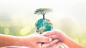responsabilité écologique