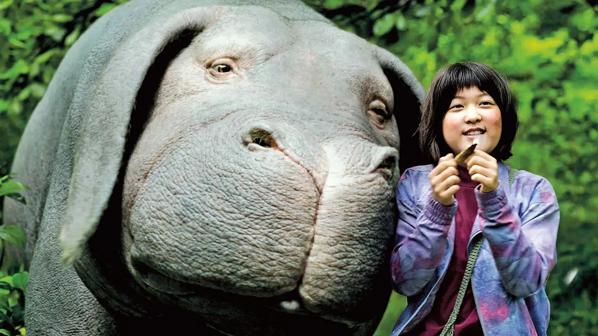 Mija et Okja dans la forêt – film Okja de Bong Joon-ho – amitié entre humain et animal – symbolisme écologique.